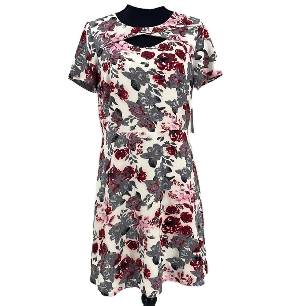Kenzie A-Line Floral Dress Pink Red Gray Green Women's Medium